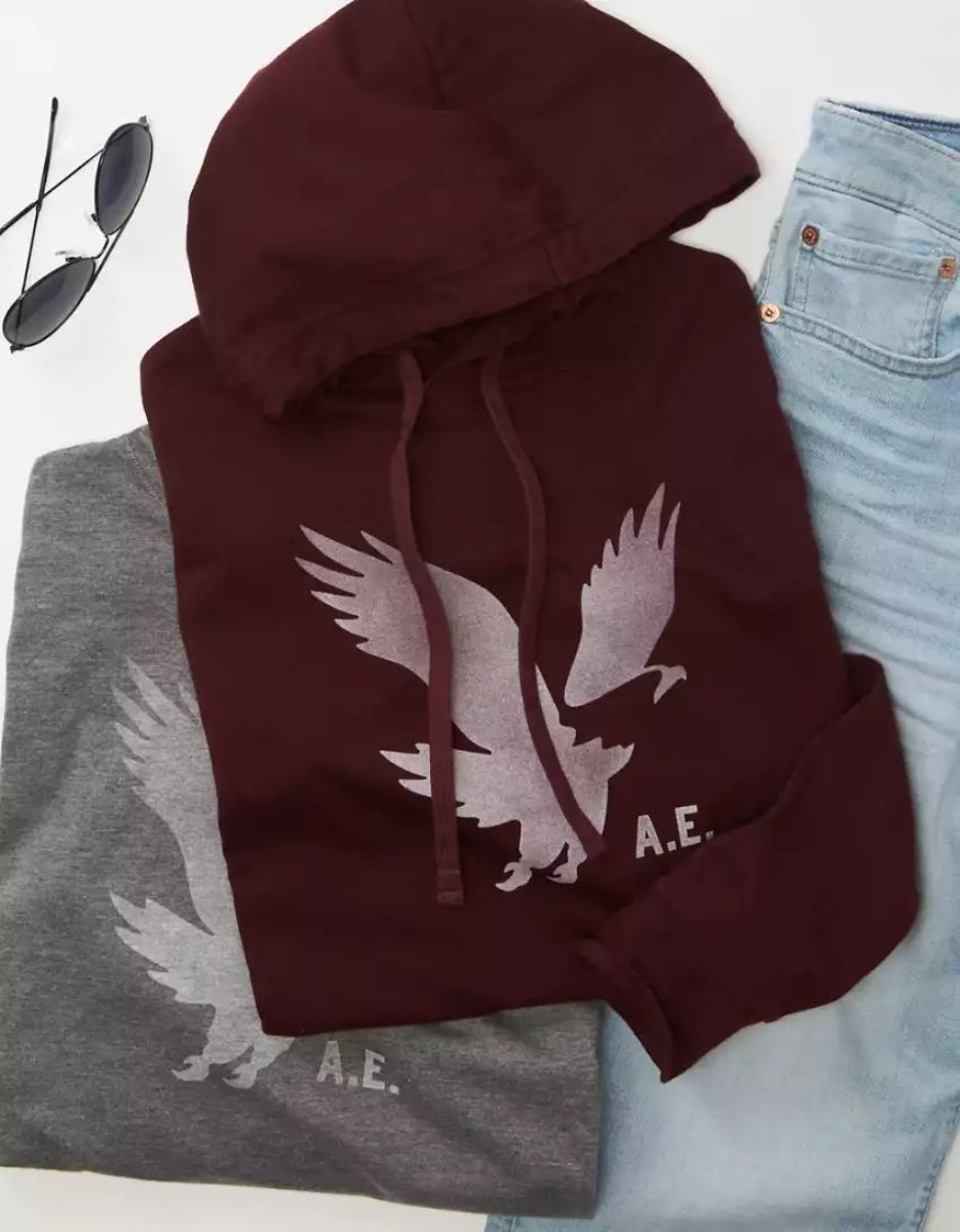 Sweat à Capuche American Eagle AE Super Soft Logo Graphique Bordeaux Homme | DPR-81900320